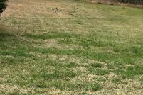 Undeveloped Land for sale in Hart County, Georgia