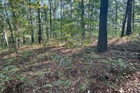 Undeveloped Land for sale in Cherokee County, Georgia