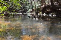 Waterfront Property for sale in White County, Georgia