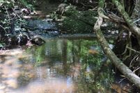 Property for sale in Elbert County, Georgia