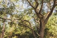 Property for sale in Thomas County, Georgia