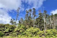 Undeveloped Land for sale in Hawaii County, Hawaii