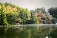 Farm Property for sale in Carroll County, Arkansas