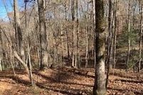 Property for sale in Gilmer County, Georgia