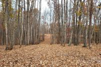 Undeveloped Land for sale in Stokes County, North Carolina