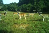 Ranch Property for sale in Delaware County, Oklahoma