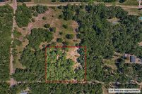 Undeveloped Land for sale in Levy County, Florida