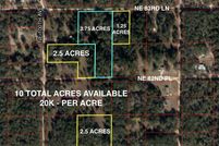 Undeveloped Land for sale in Levy County, Florida