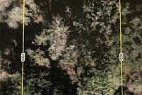 Property for sale in Marion County, Florida