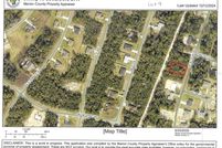 Undeveloped Land for sale in Marion County, Florida