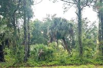 Undeveloped Land for sale in Charlotte County, Florida