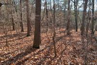 Undeveloped Land for sale in Pickens County, Georgia
