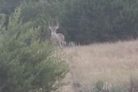 Property for sale in Edwards County, Texas