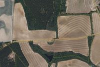 Undeveloped Land for sale in Bulloch County, Georgia