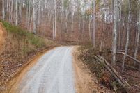 Undeveloped Land for sale in Polk County, Tennessee