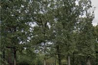 Property for sale in Garland County, Arkansas