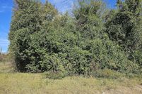 Undeveloped Land for sale in Aiken County, South Carolina