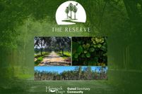 Undeveloped Land for sale in Walton County, Florida