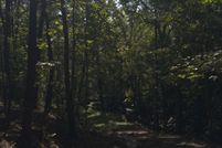 Undeveloped Land for sale in Hall County, Georgia