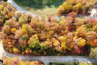 Undeveloped Land for sale in Rabun County, Georgia