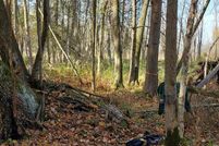 Undeveloped Land for sale in Waupaca County, Wisconsin