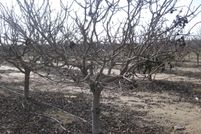 Property for sale in Tulare County, California