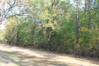 Undeveloped Land for sale in Sabine County, Texas