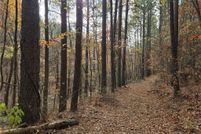 Undeveloped Land for sale in Conway County, Arkansas