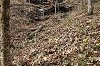 Property for sale in Cumberland County, Kentucky