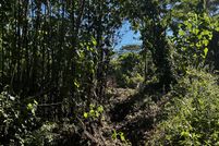 Undeveloped Land for sale in Hawaii County, Hawaii