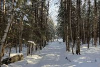 Undeveloped Land for sale in Orleans County, Vermont