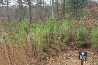 Property for sale in Gilmer County, Georgia