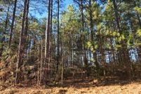 Undeveloped Land for sale in Prince Edward County, Virginia