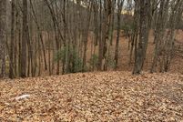 Undeveloped Land for sale in Cherokee County, North Carolina