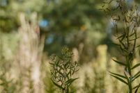 Property for sale in Wood County, Texas