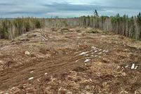 Undeveloped Land for sale in Washington County, Maine