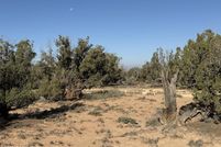 Undeveloped Land for sale in Navajo County, Arizona