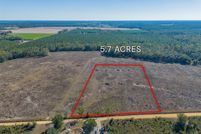 Undeveloped Land for sale in Pierce County, Georgia