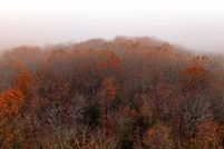 Property for sale in Ozark County, Missouri