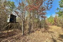Farm Property for sale in Attala County, Mississippi