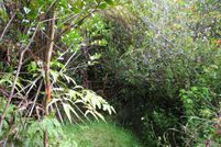 Property for sale in Hawaii County, Hawaii