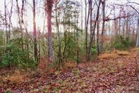 Undeveloped Land for sale in Rutherford County, North Carolina