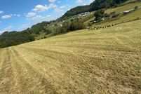 Undeveloped Land for sale in Scott County, Virginia