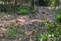 Property for sale in Surry County, North Carolina