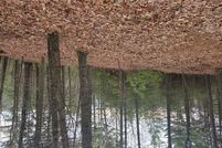 Property for sale in Carroll County, Virginia