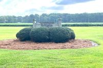 Undeveloped Land for sale in Edgecombe County, North Carolina