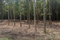 Property for sale in Pitt County, North Carolina