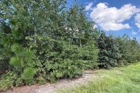 Property for sale in Scotland County, North Carolina