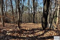 Undeveloped Land for sale in Henry County, Virginia