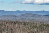 Undeveloped Land for sale in Gilmer County, Georgia